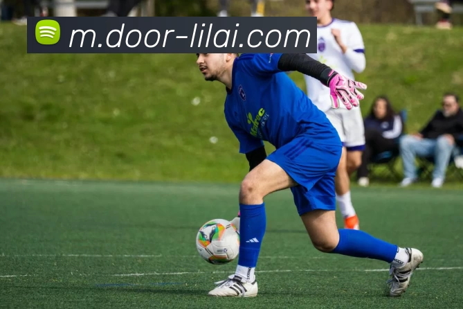 利来国际发展历程